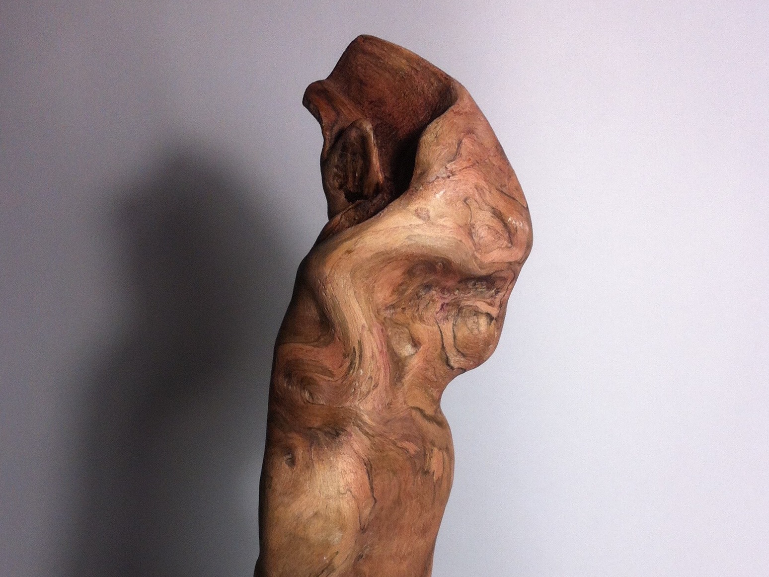 Wood Sculpture